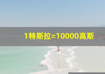 1特斯拉=10000高斯