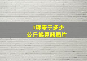 1磅等于多少公斤换算器图片