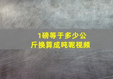 1磅等于多少公斤换算成吨呢视频