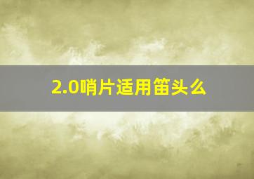 2.0哨片适用笛头么