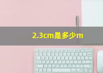 2.3cm是多少m