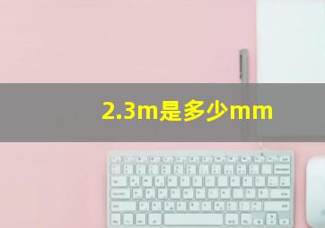 2.3m是多少mm