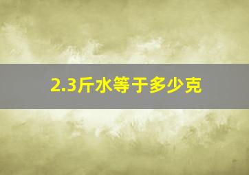 2.3斤水等于多少克