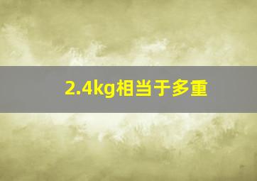 2.4kg相当于多重