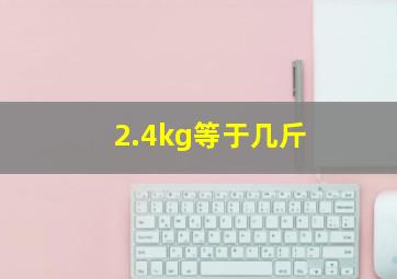 2.4kg等于几斤