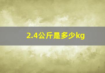 2.4公斤是多少kg