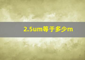 2.5um等于多少m