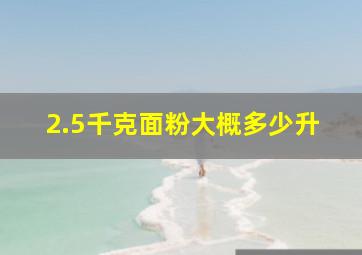 2.5千克面粉大概多少升