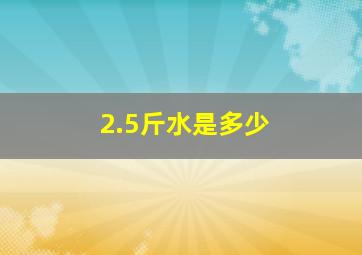 2.5斤水是多少