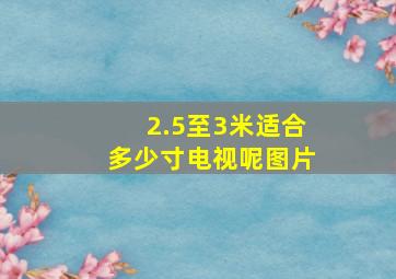 2.5至3米适合多少寸电视呢图片