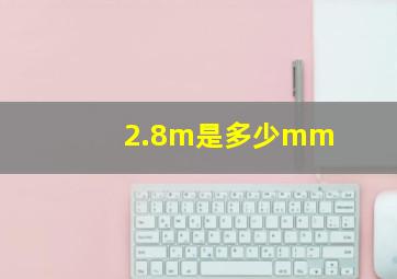 2.8m是多少mm