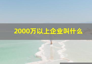 2000万以上企业叫什么