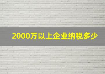 2000万以上企业纳税多少