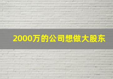 2000万的公司想做大股东