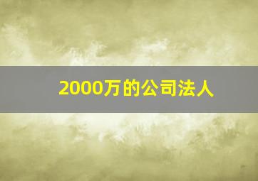 2000万的公司法人