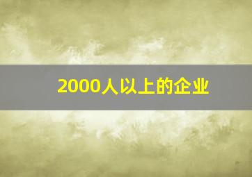 2000人以上的企业