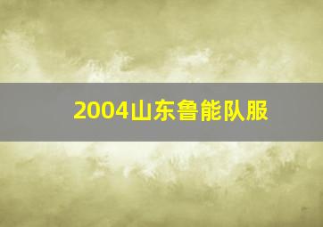 2004山东鲁能队服