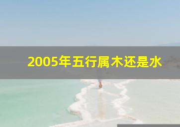 2005年五行属木还是水