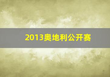 2013奥地利公开赛