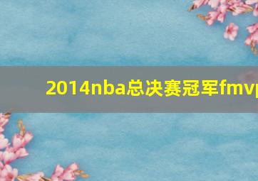 2014nba总决赛冠军fmvp