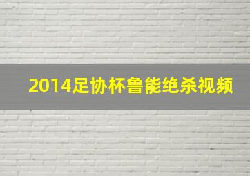 2014足协杯鲁能绝杀视频