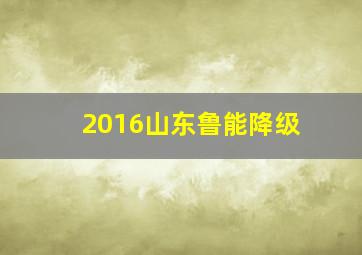 2016山东鲁能降级