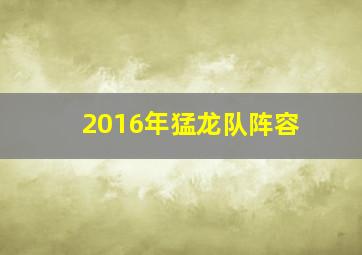 2016年猛龙队阵容