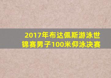 2017年布达佩斯游泳世锦赛男子100米仰泳决赛