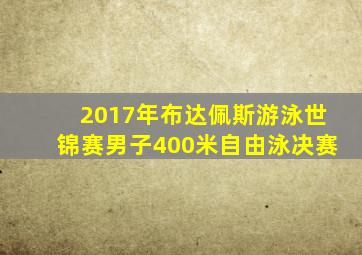 2017年布达佩斯游泳世锦赛男子400米自由泳决赛