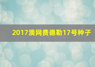 2017澳网费德勒17号种子