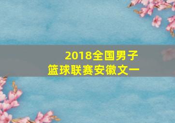 2018全国男子篮球联赛安徽文一