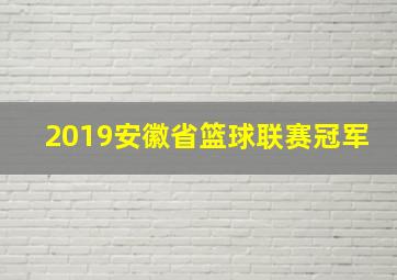 2019安徽省篮球联赛冠军