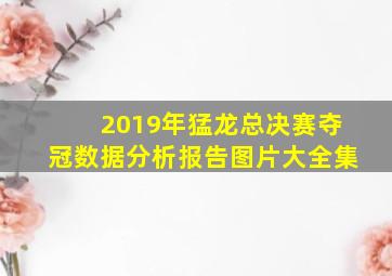 2019年猛龙总决赛夺冠数据分析报告图片大全集