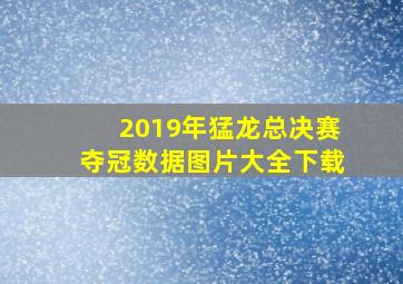 2019年猛龙总决赛夺冠数据图片大全下载