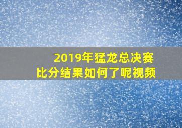 2019年猛龙总决赛比分结果如何了呢视频