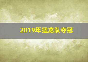 2019年猛龙队夺冠