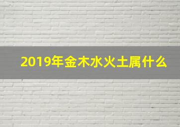 2019年金木水火土属什么