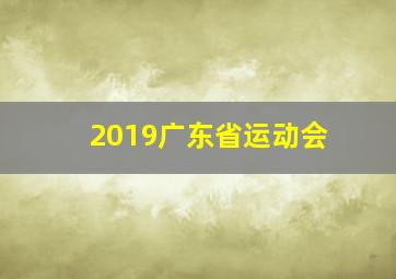 2019广东省运动会