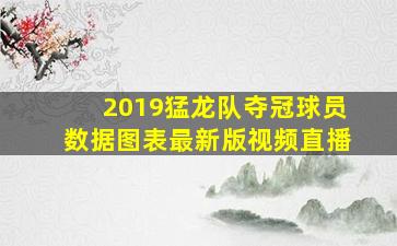 2019猛龙队夺冠球员数据图表最新版视频直播