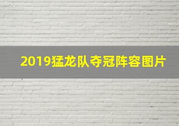 2019猛龙队夺冠阵容图片