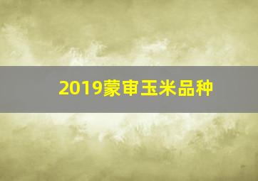 2019蒙审玉米品种