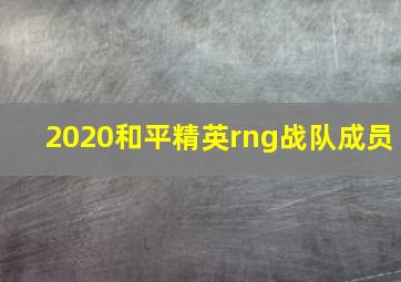 2020和平精英rng战队成员