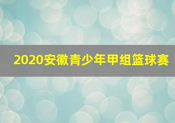 2020安徽青少年甲组篮球赛