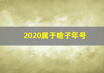 2020属于啥子年号