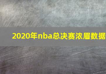 2020年nba总决赛浓眉数据