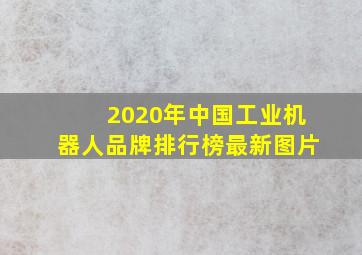 2020年中国工业机器人品牌排行榜最新图片