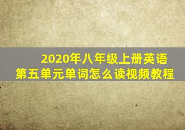 2020年八年级上册英语第五单元单词怎么读视频教程