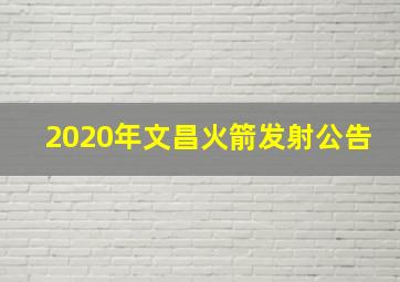 2020年文昌火箭发射公告