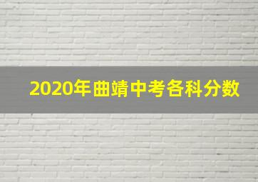 2020年曲靖中考各科分数