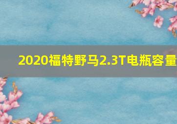 2020福特野马2.3T电瓶容量